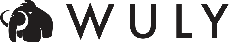 Wuly
